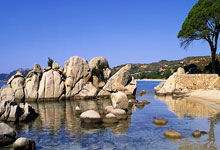 為什么說注冊深圳公司前期找代理記賬公司報稅更劃算？